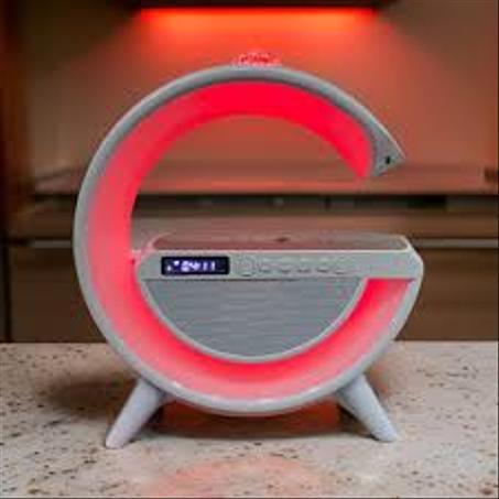 LED WIRELLES CHARGING SPRAKER