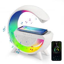 LED WIRELLES CHARGING SPRAKER