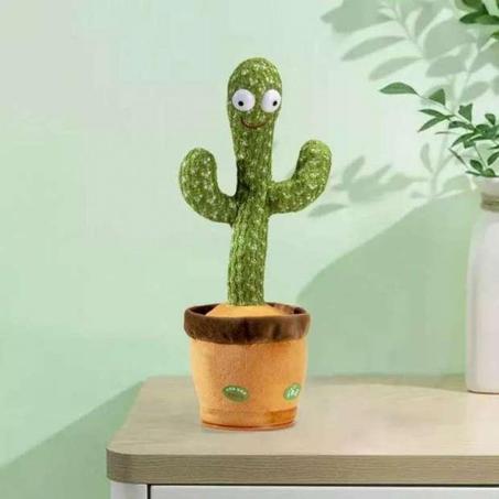 Talking Cactus