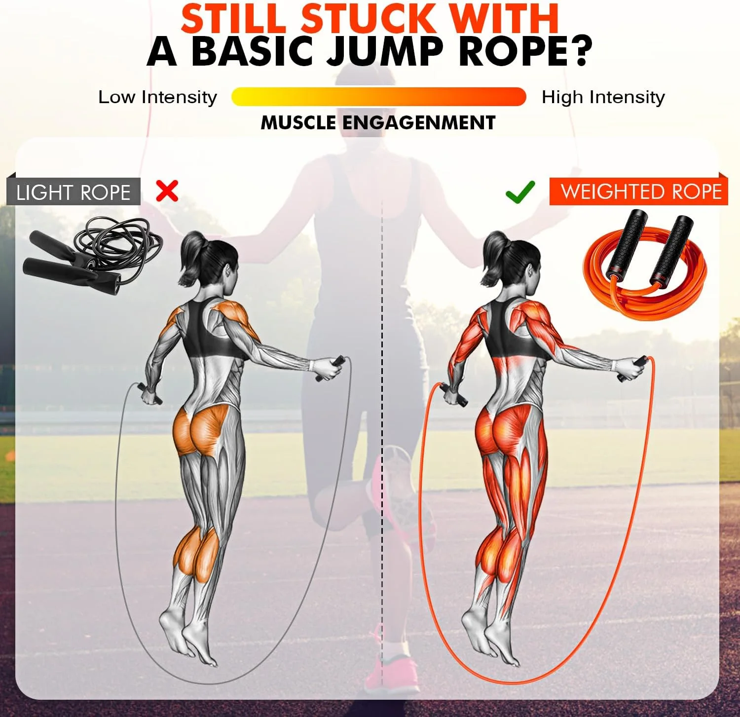 Pack Fitness Complet Premium