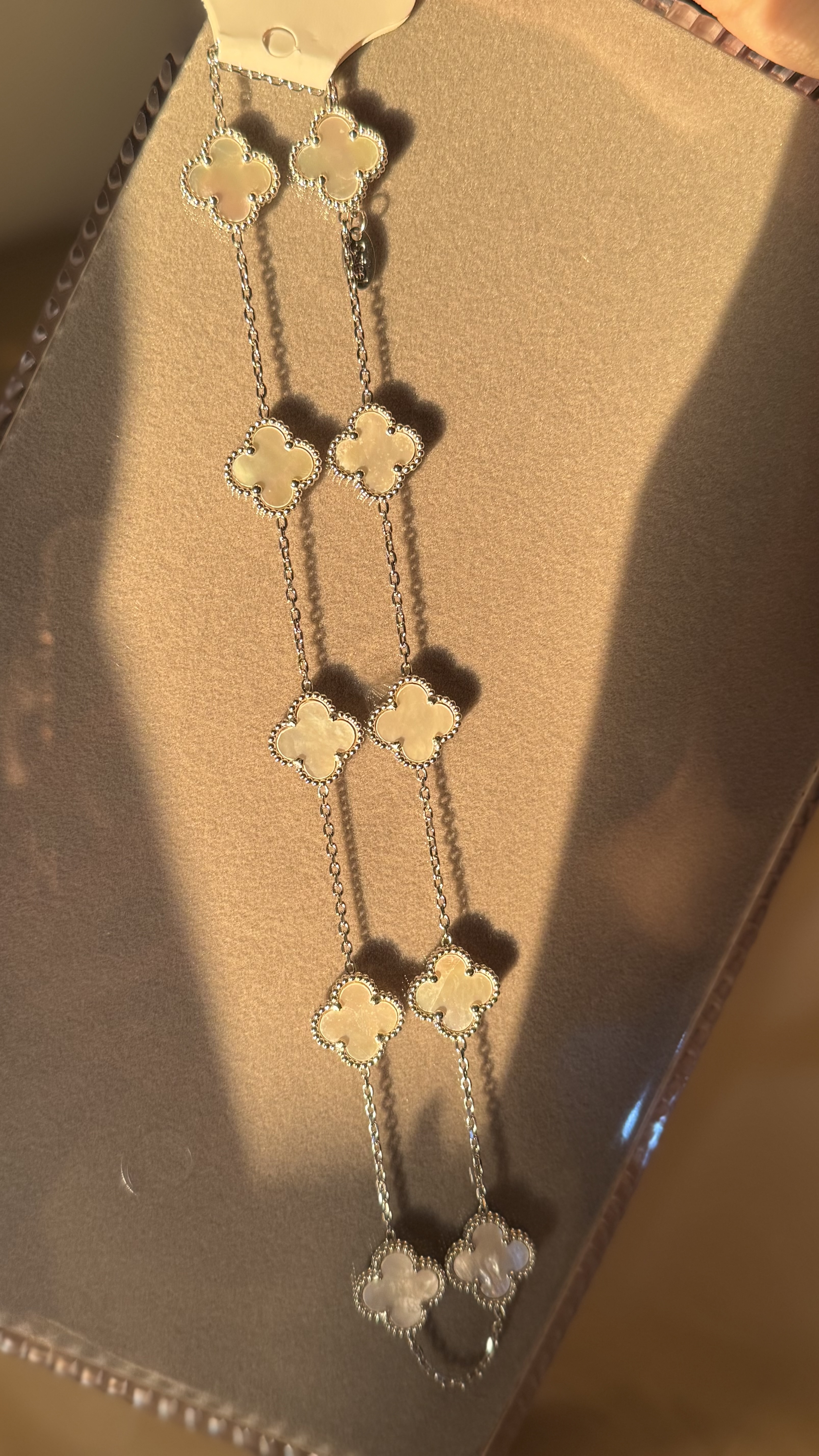 Ensemble VNC argenté 10 fleurs