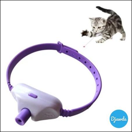 طوق القطط (T)