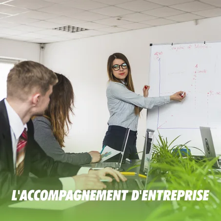 Accompagnement des entreprises
