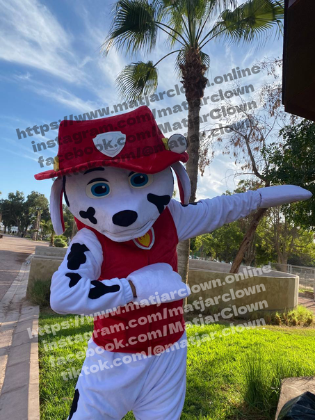 Mascotte Paw Patrol Marshall ماسكوط