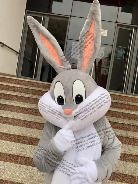 ماسكوط الأرنب جودة عالية  Mascotte