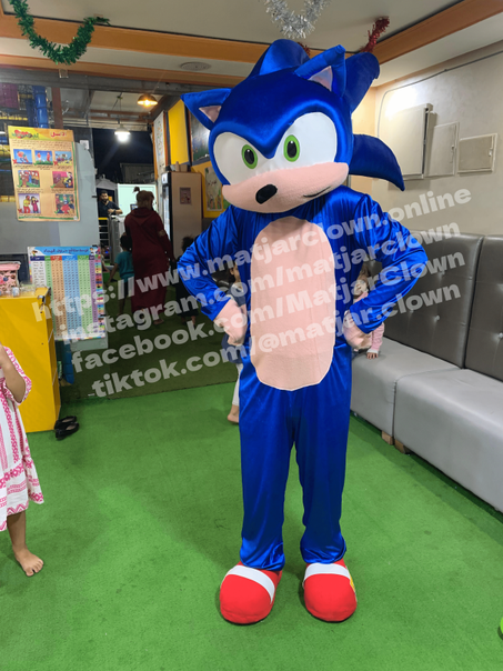 ماسكوط صونيك Mascotte Sonic