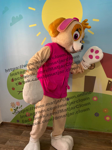 Mascotte Paw Patrol Skye ماسكوط