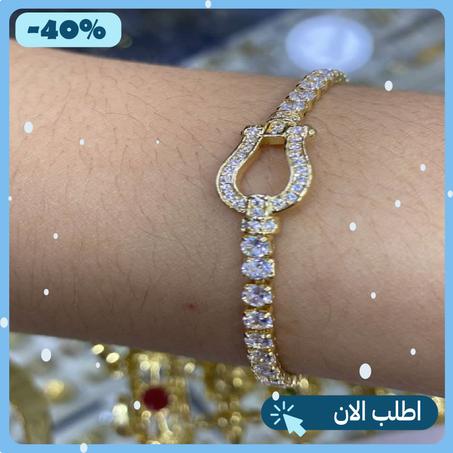 الاكسوسوارات (2)