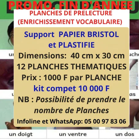 ✨ PROMO. FIN D’ANNEE –Pack planches (12) d’enrichissement vocabulaire support papier solide plastifiés  CP1  et CP2 = 10 000 F au lieu de 12000F  ✨