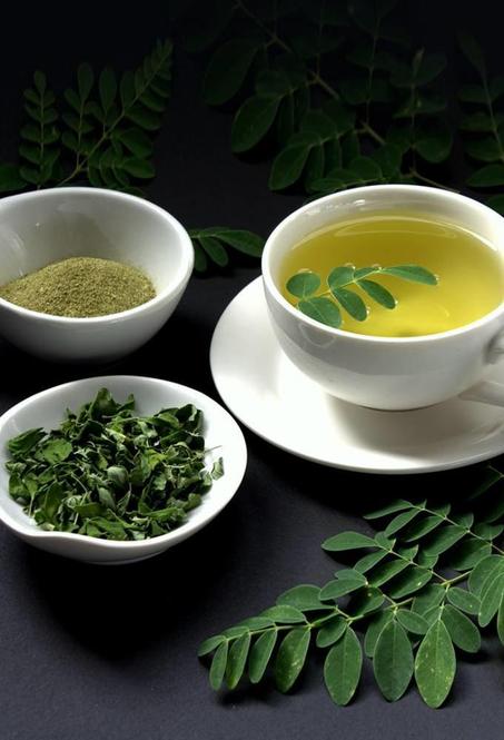 thé Moringa 100% bio