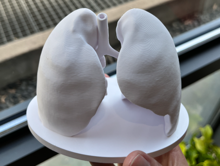 Pulmonary Medical Education Model