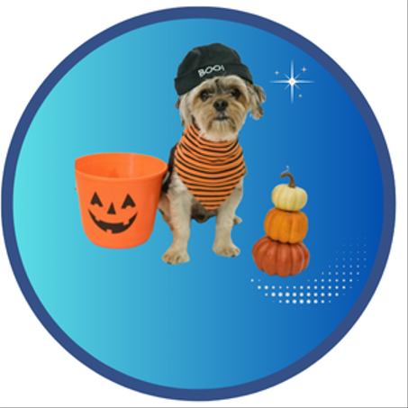 منتجات الحيونات الأليفة