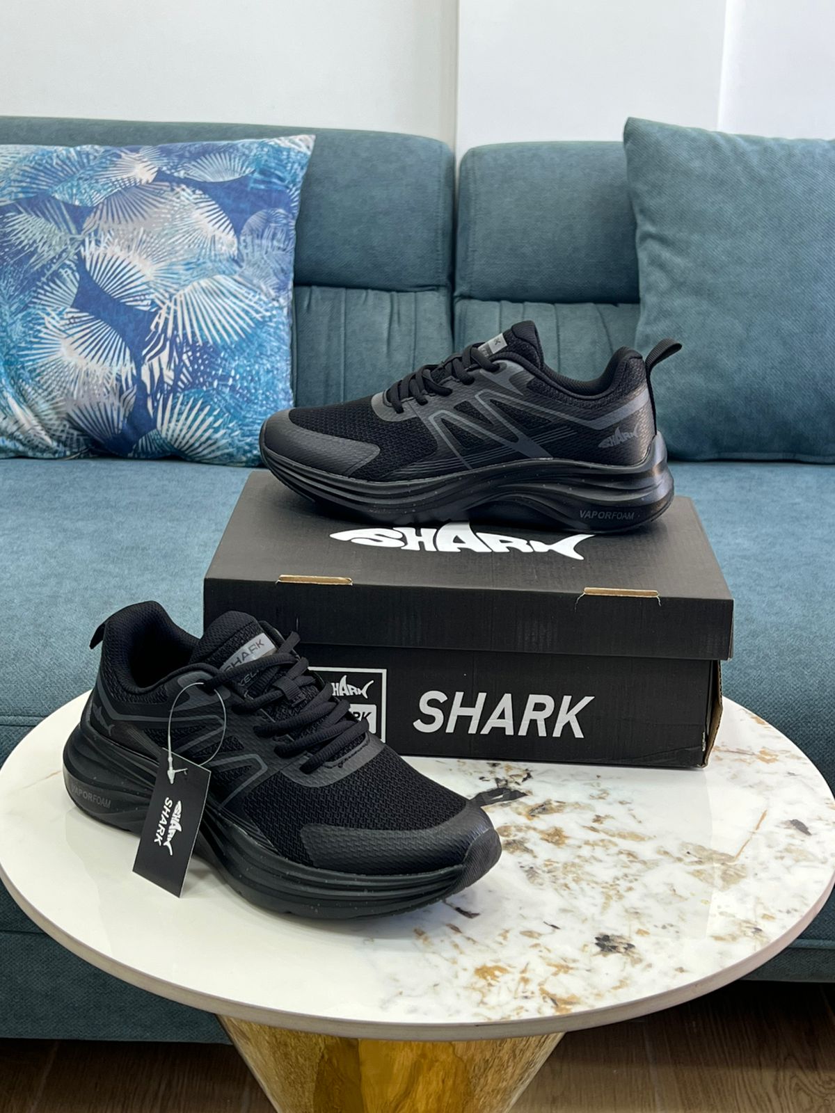 shark sneaker