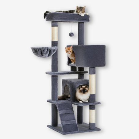 Arbre à chat grande taille pour chat adulte