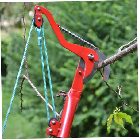 مقص الأغصان العالية - الحل الآمن لتقليم الأشجار