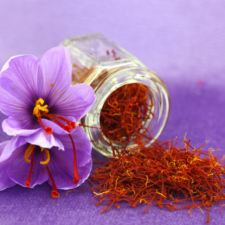 الزعفران الحر تالوين