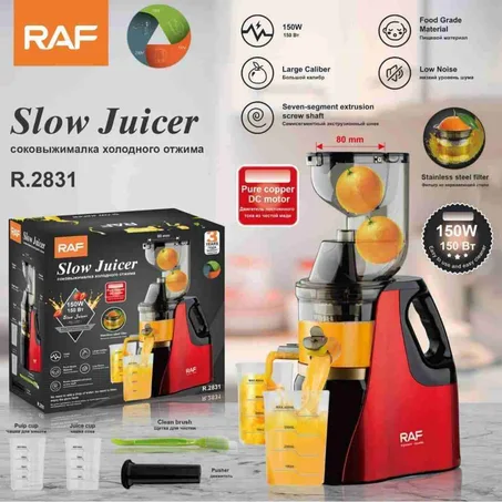 🍊 Extracteur de Jus Lent RAF