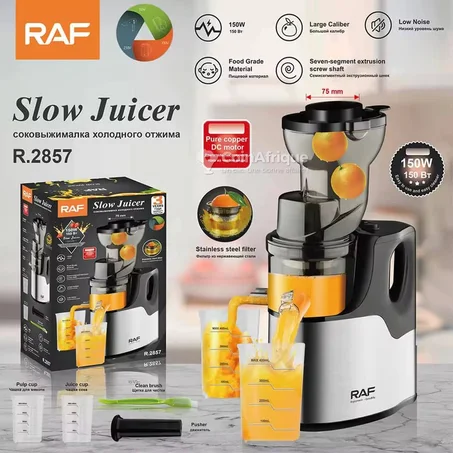 🍊 Extracteur de Jus Lent RAF