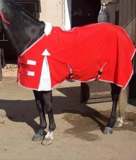 CH/ MANTEAUX EQUIDEO