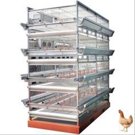 cage a kaye 4 étage