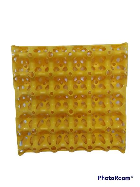 Plateaux poulet 30 oeufs italie