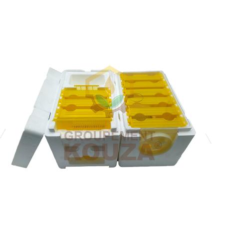 Nucléi Polystyrène + Hausse