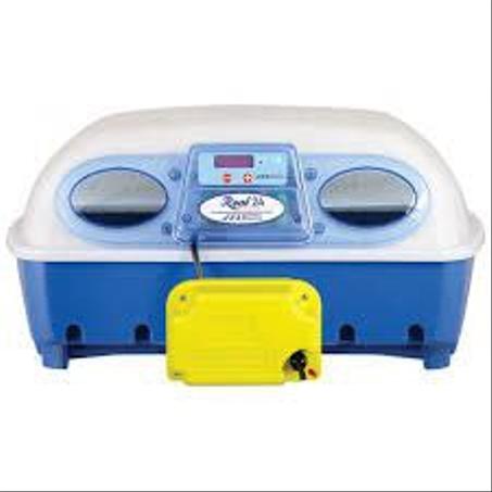 Couveuse itali 49 oeufs