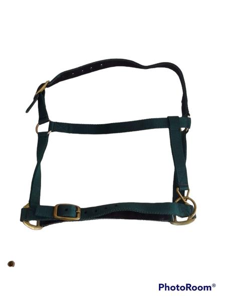 Licol veaux p/m fouganza