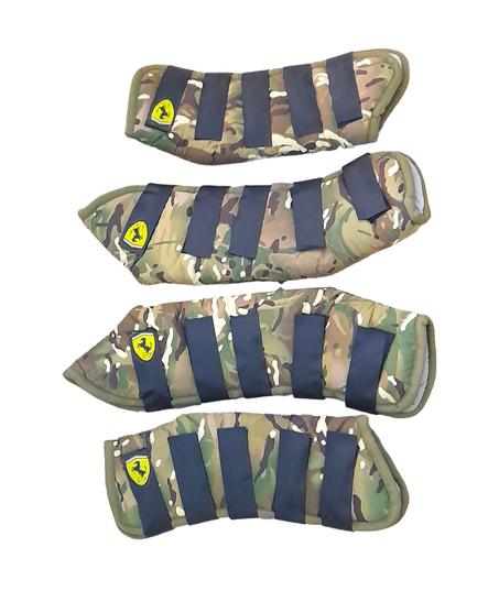 CH/ PROTECTION TRANSPORT