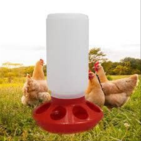 Abreuvoir + tremie oiaseux