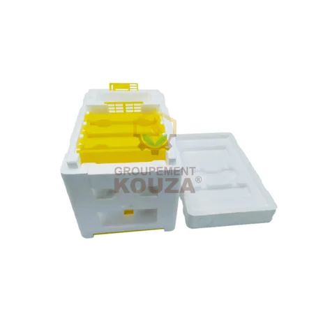 Nucléi Polystyrène