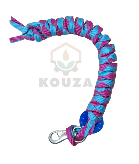 ch/ longe cheval  couleure