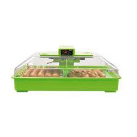 Couveuse  56 oeufs  chine