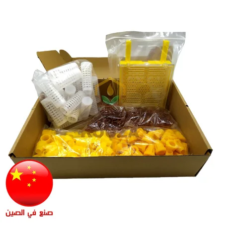 Kit D'élevage De Reine- Chine