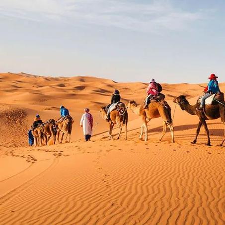 Discover the Moroccan Desert