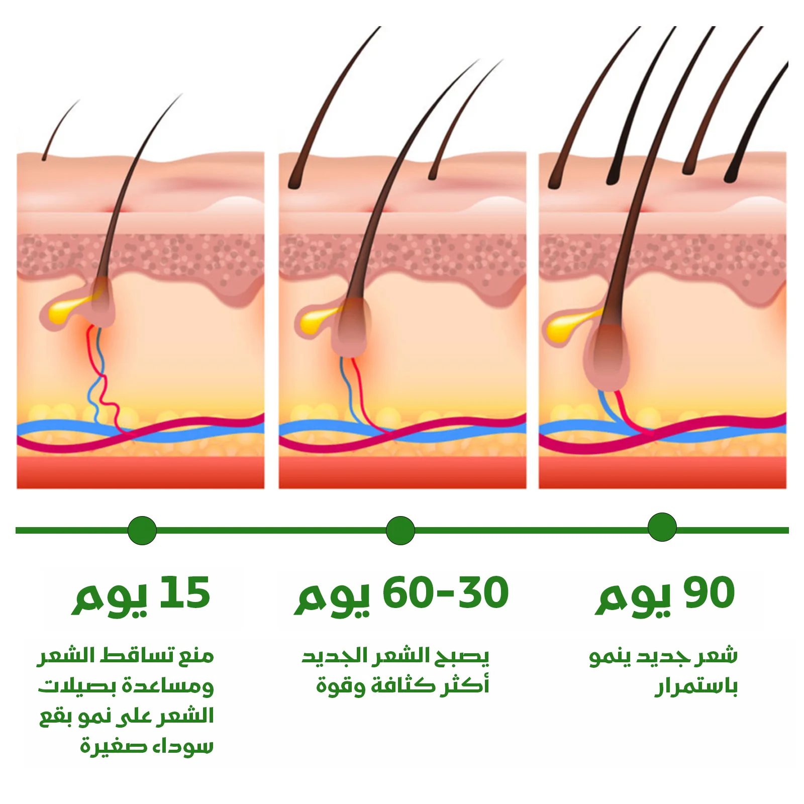 مجموعة العناية بالشعر