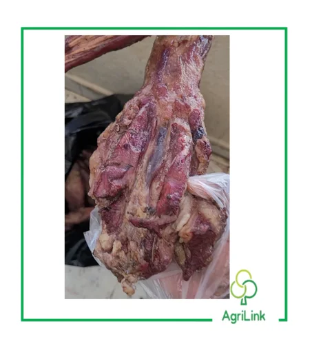 Queue de boeuf fumée