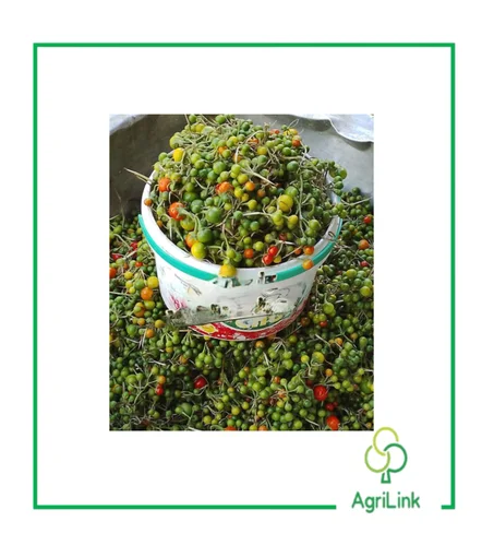 1 Boîte de gnangnan frais