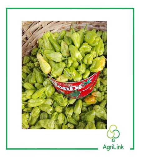 Boîte de piment frais