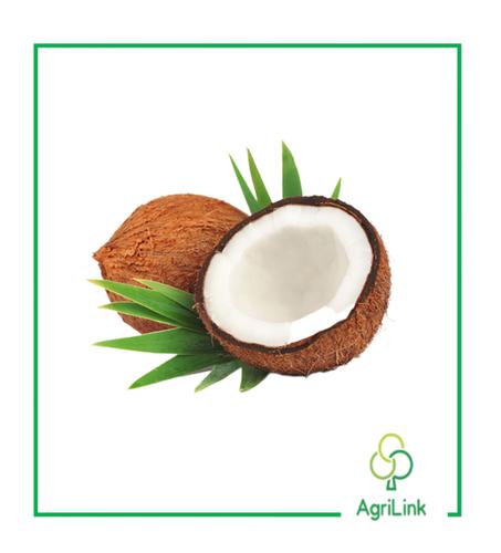 Noix de coco sèche [x1]