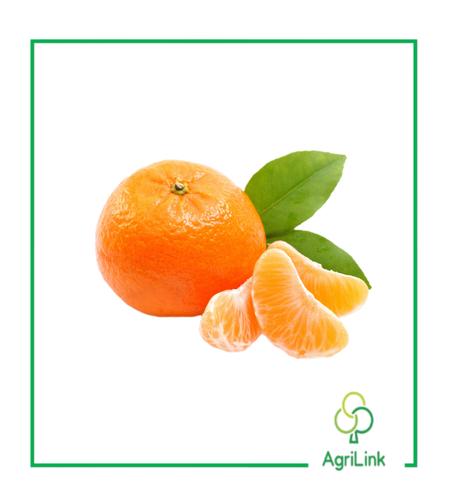 Mandarines [1kg]