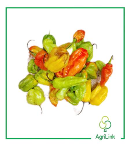 Tas de piment frais