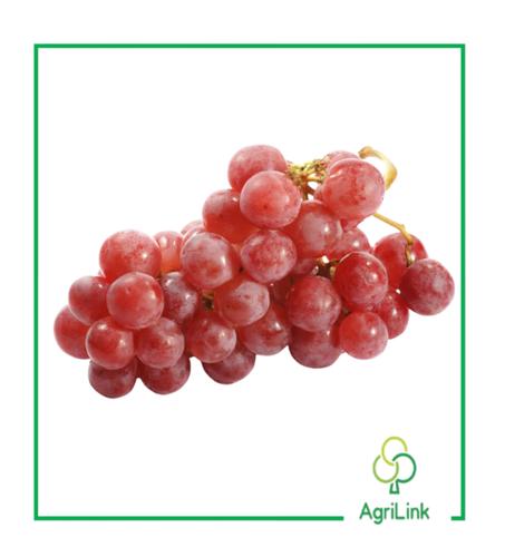 Raisin avec pépins – 1 Kg