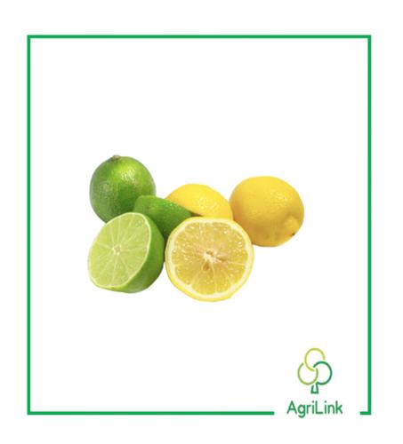 Citron local frais [x3]