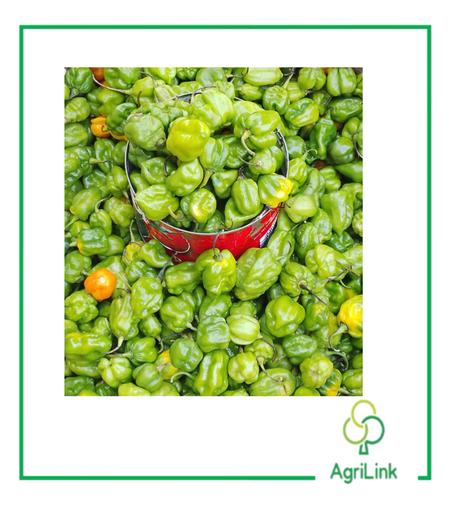 Boîte de piment sen bon