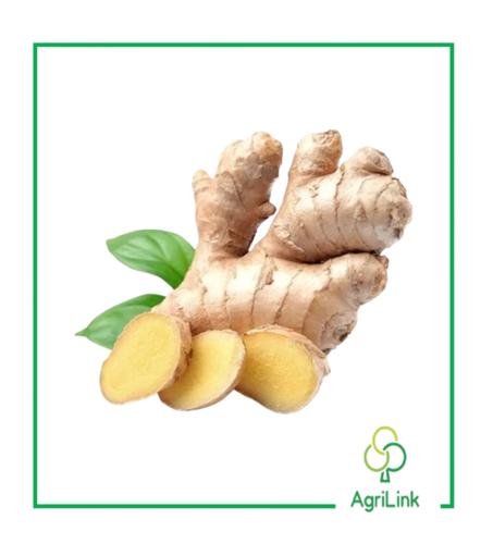 Gingembre local – 1 Kg