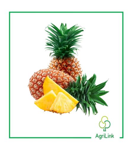 Ananas local – 1 Kg