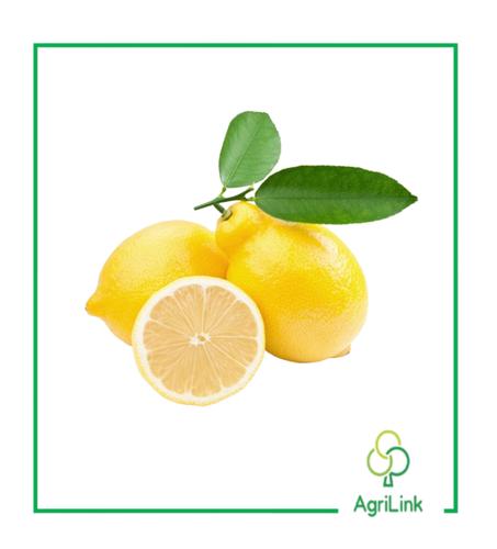 Citron petit format – 1 Kg