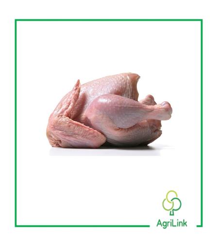 Poulet africain