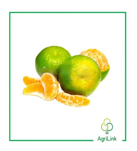 Mandarines locales [x5]